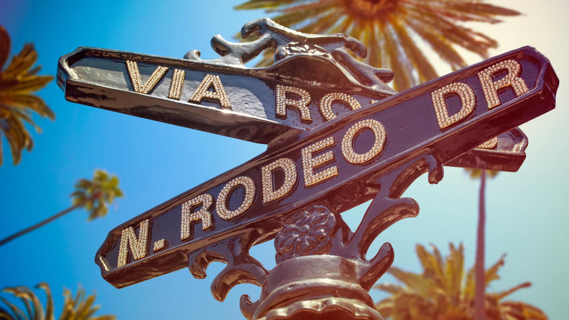 Rodeo Dr. Homepage Background Image
